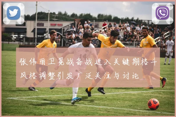 张伟丽卫冕战备战进入关键期格斗风格调整引发广泛关注与讨论