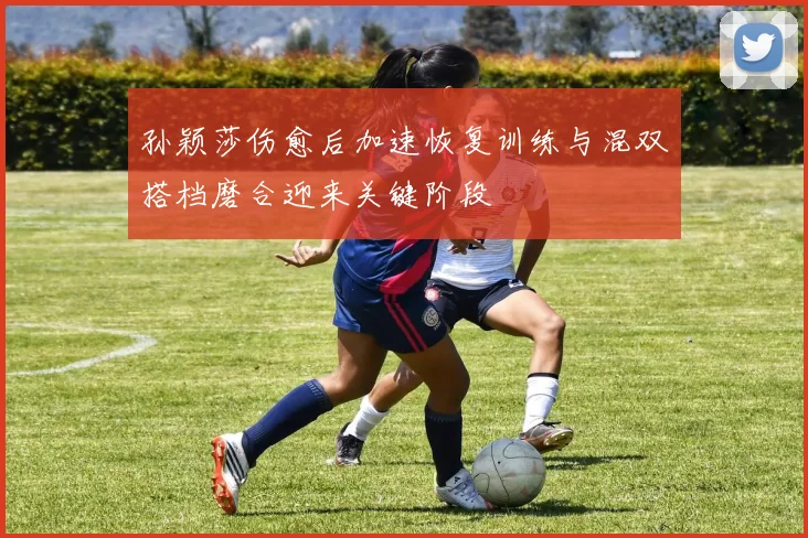 孙颖莎伤愈后加速恢复训练与混双搭档磨合迎来关键阶段